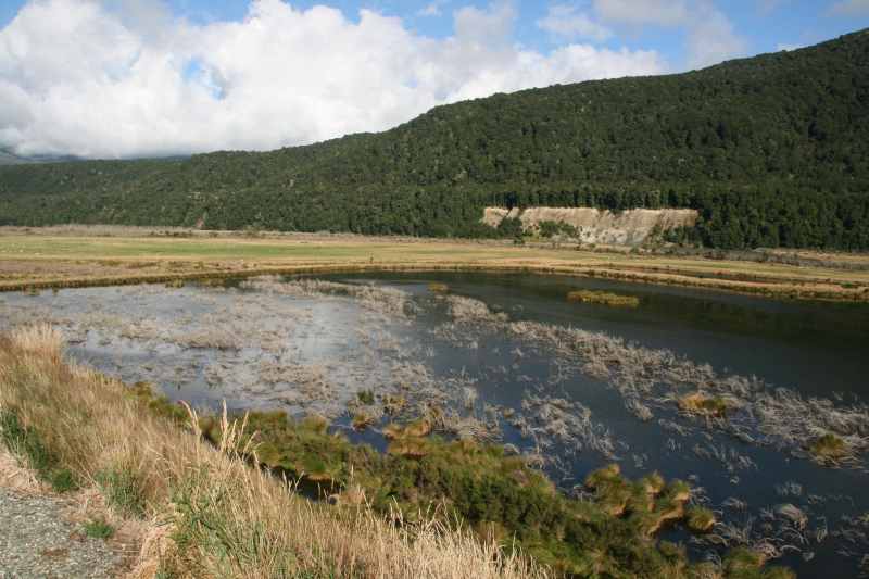 Nieuw-Zeeland 2011 - 1735